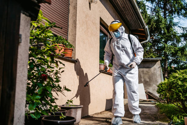 Best Local Pest Control Services  in Harwich Center, MA