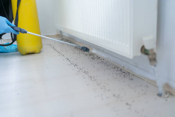 Best Best Pest Control Companies  in Harwich Center, MA